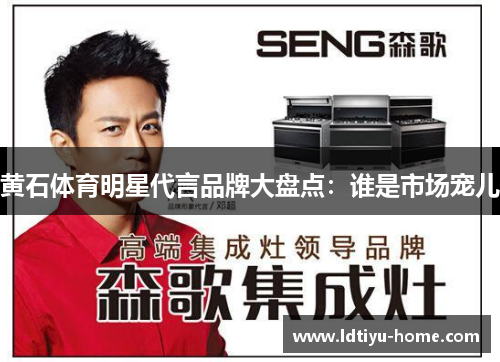 黄石体育明星代言品牌大盘点：谁是市场宠儿